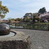 桜の季節🌸お花見の名所🌸福岡県飯塚市でランキング上位の【勝盛公園】