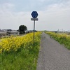 「県道503号古河坂東自転車道線」で「道の駅さかい」