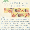 蠅虎