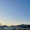今日の花粉情報は