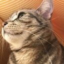 maaaaaaar1n’s blog