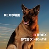 海外ドラマレビュー☆🇨🇦版セントジョンズREX 部門別ランキング④ REX珍場面