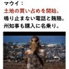 マウイ島、土地の買い占めを開始（ハワイ州知事も購入に名乗り）