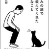 悲しみの底で猫が教えてくれた大切なこと