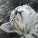 午後から→オーバークロック