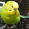 ２月１４日の相場を見てみたよ　チュン