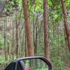 活動エリアの拡張作業　と　(=^・^=)(=^・^=)