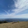 【入道ヶ岳】トンテキ登山！