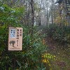 霧にむせぶ峠の紅葉