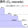 酸素分圧の覚え方