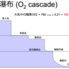 酸素分圧の覚え方