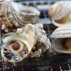 自宅のベランダで海鮮バーベキュー