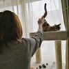 しじみ旅館に宿泊客です。＆猫のフードの話。