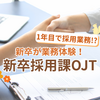 1年目で採用業務！？新卒が新卒採用課で業務体験してみた【OJTレポート】