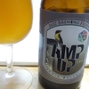 331 AMP UP IPA