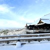 【京都の絶景✨銀世界❄️の清水寺❄️】一度は見てみたい雪のベールを纏った清水の舞台☃️