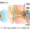 教科書の方向性