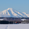 【北海道遠征⑥】宗谷ラッセルを追いかけて