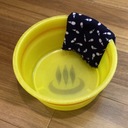 毎日探検、虹を見逃さないように