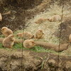 上野動物園　2020.01.25