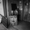 生活サイクル。