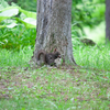 いつもの野付牛公園での写真。