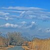 新春の遊水地を歩く