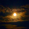 読みが当たった！チヌだぁ！