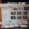 街の駅・乙女高原展36乙女高原のスミレ