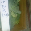 小松菜10束