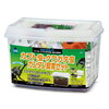 昆虫採集の季節だ！