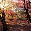 昨秋、東福寺　その１