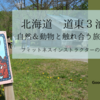 北海道　道東３泊４日　自然＆動物と触れ合う旅の備忘録　その弐