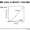 『終末糖化産物（AGEs）の真実〜リアルサイエンスシリーズ』