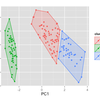 R {ggplot2} の散布図に凸包 / 確率楕円を描きたい