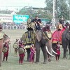 スリンのぞう祭りへ行ってきた！