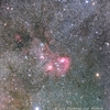 煌びやかな勾玉星雲を撮る