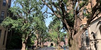 東京大学文学部で『百年の孤独』を学ぶ