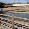 大狭間池上池（愛知県豊明）