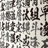 アレクサが思う「今年の漢字」が変な件について。