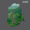  Slackk / A Little Light