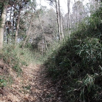 三階城　（茨城県　鉾田市）