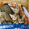 夏休みの推薦図書「ねこかつ！」⭐︎