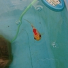  緑苔と共に暮らすベランダの金魚