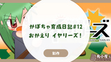 かぼちゃ育成日記#12 - おかえりイヤリーズ！