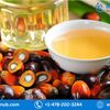 Global Palm Oil Market, Size, Share, Growth and Key Players ⅼ Forecast (2023 - 2028) ⅼ Renub Research