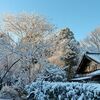 益子にも雪が降った。