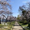 開花状況