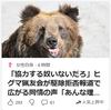 【クマイシス？！＝頻発するクマ被害……11/15ー16　猟友会「出動要請拒否」報道が波紋、発砲処分は「警察側の責任回避」】＃593