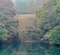 大谷下池・坂本（上）池（和歌山県日高川）